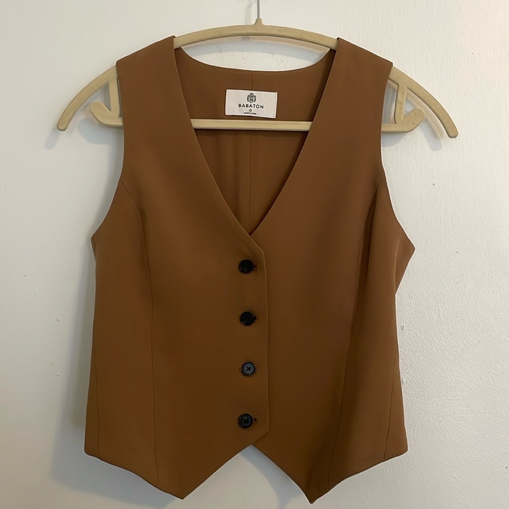 Aritzia Babaton Deniro Vest